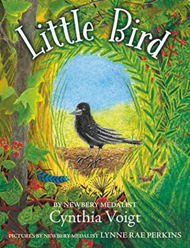

Little Bird by Cynthia Voigt-Paperback