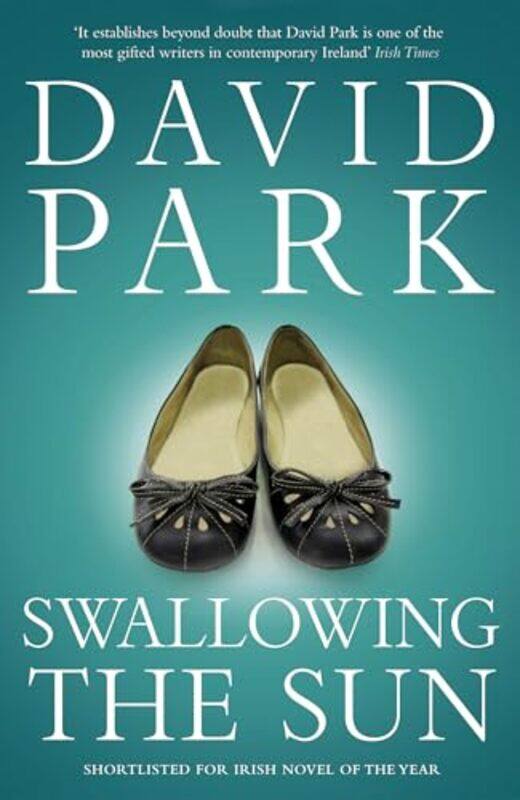 

Swallowing the Sun by David Park-Paperback