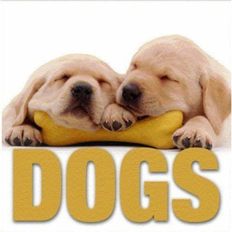 

Dogs (Minicube Book), Hardcover Book, By: Valeria. M De Fabianis