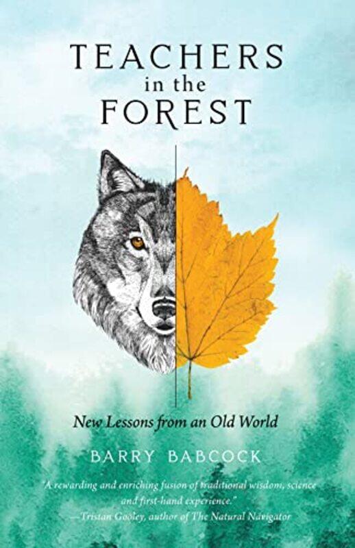 

Teachers in the Forest by Isabella Tree-Paperback
