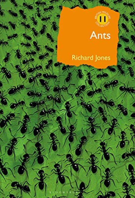 

Ants by Rosalind University of Southampton UK EdwardsPamela University of Southampton UK Ugwudike-Hardcover