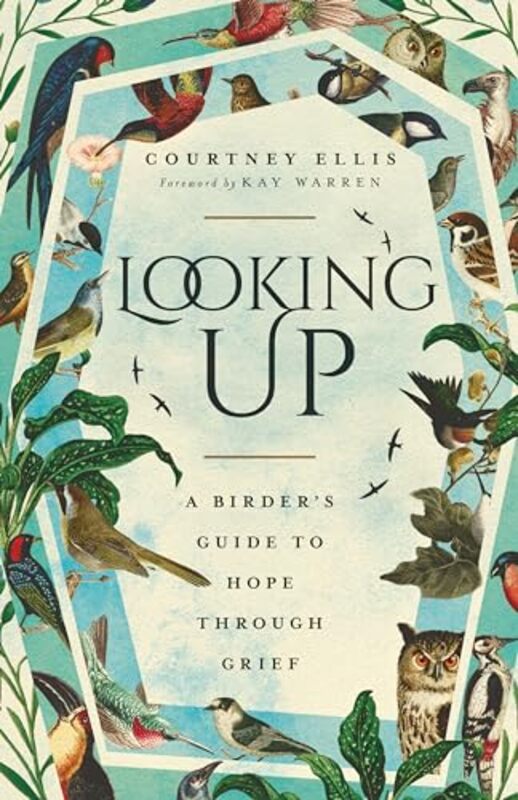 

Looking Up by Courtney Ellis-Paperback