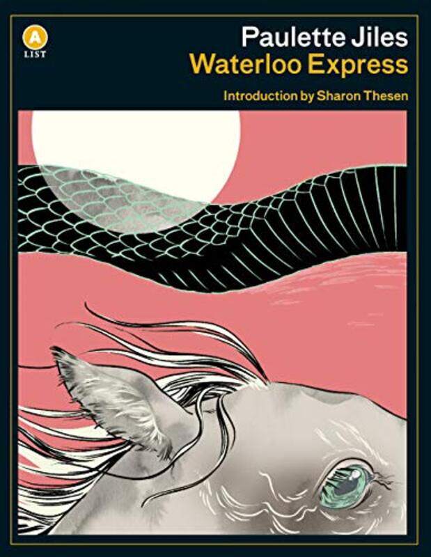 

Waterloo Express by Paulette Jiles-Paperback