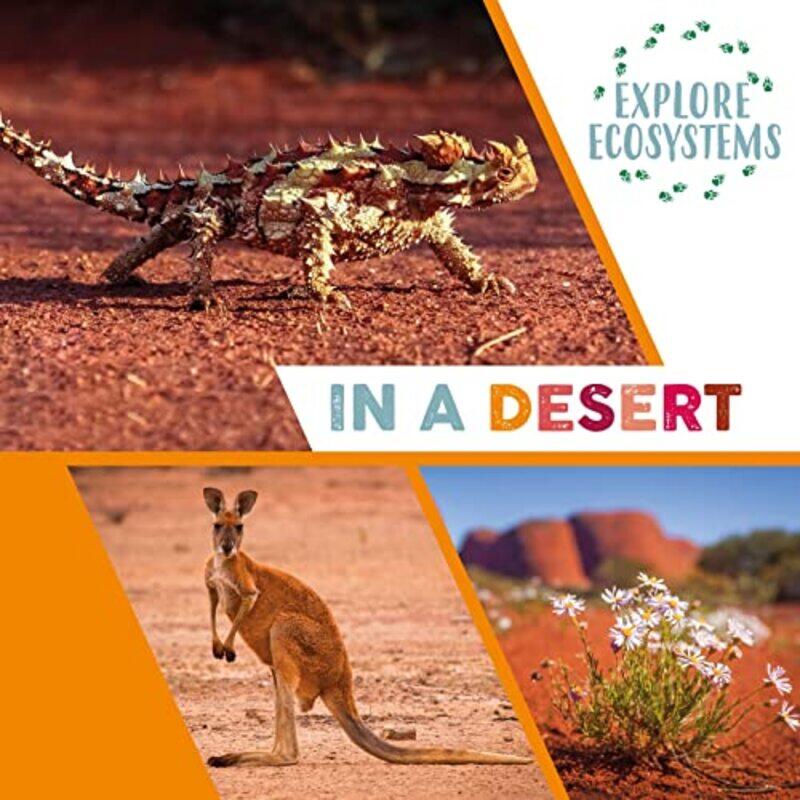 

Explore Ecosystems In a Desert by Keith PoppleMae ShawGary Craig-Paperback