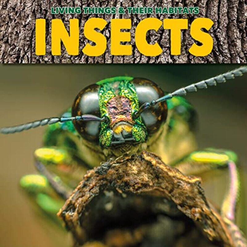 

Insects by Robert Louis Stevenson-Paperback