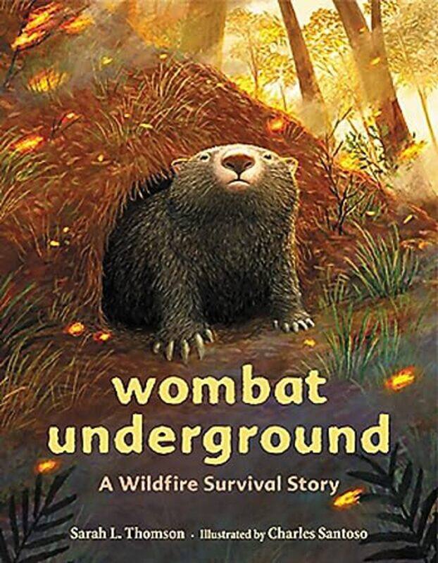 

Wombat Underground , Hardcover by Charles Santoso