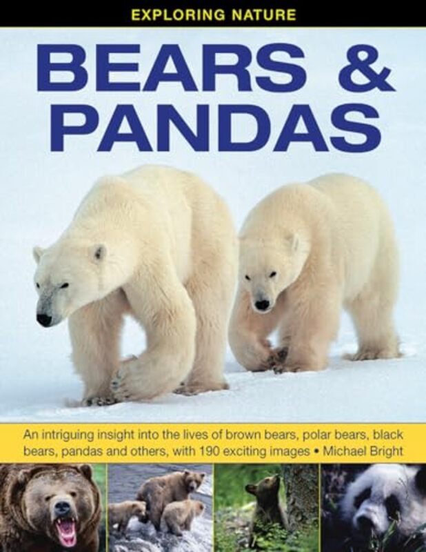 Exploring Nature Bears & Pandas by James BentKenneth K Humphreys-Hardcover