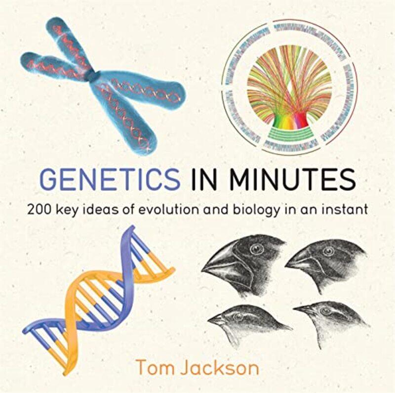 

Genetics in Minutes by Tom Jackson-Paperback