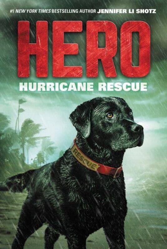 

Hero02 Hurricane Rescue By Shotz Jennifer Li - Paperback