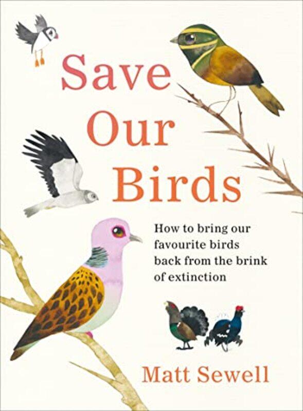 

Save Our Birds by Matt Sewell-Hardcover