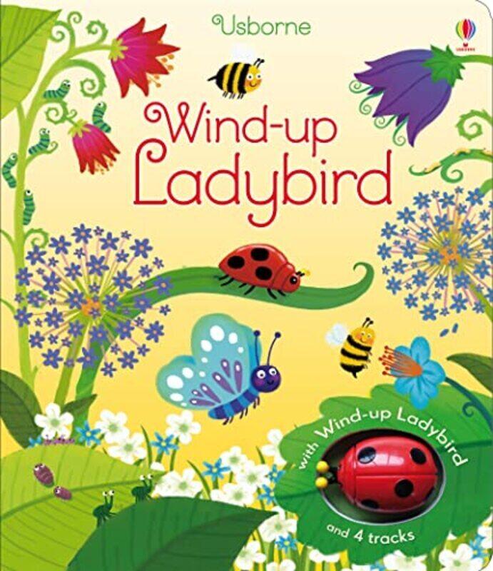 

Windup Ladybird By Fiona Watt Paperback