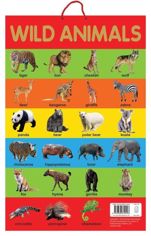 

Wild Animals, Paperback Book, By: Wonder House Books