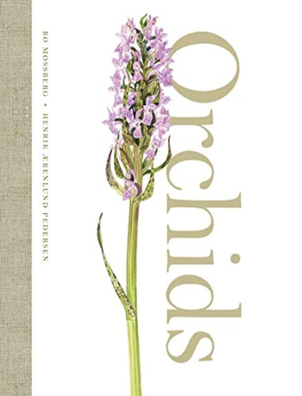 

Orchids by Patricia Babtie-Hardcover