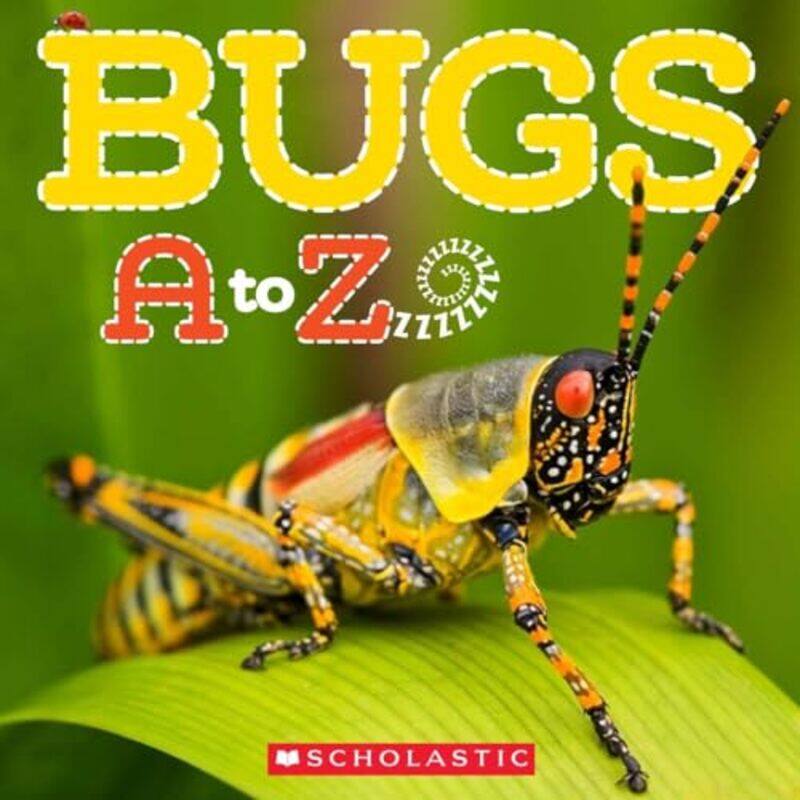 

Bugs A-Z By Bayley Kimberly - Paperback