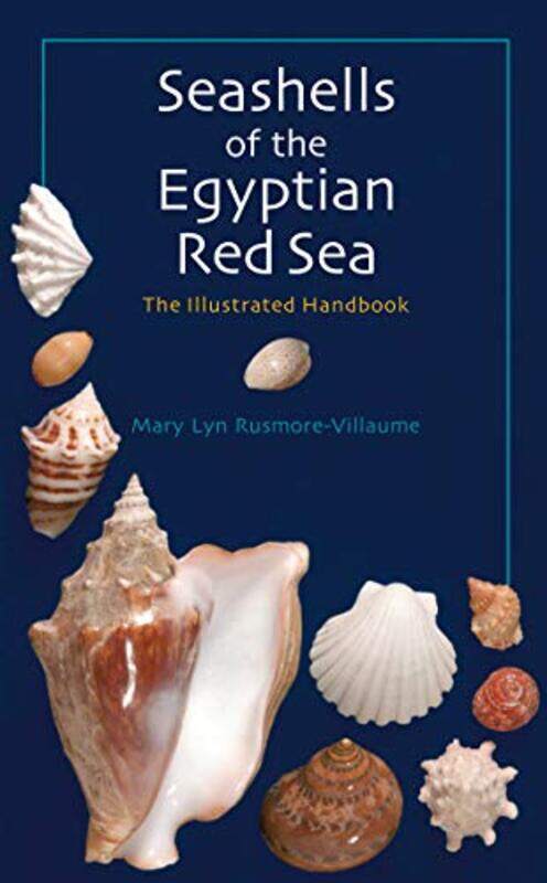 

Seashells Of The Egyptian Red Sea by Mary Lyn Rusmore-Villaume - Hardcover