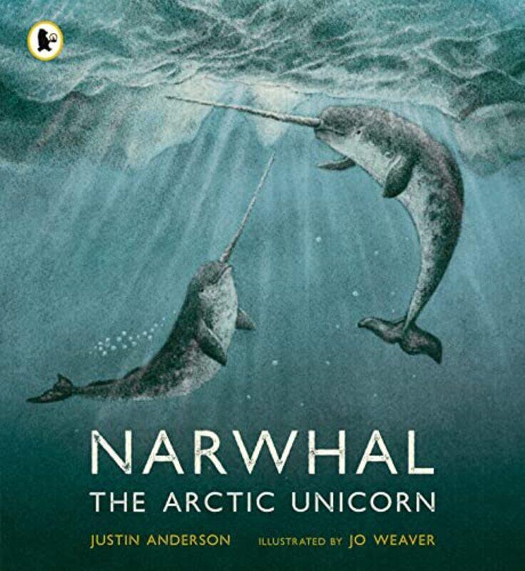 

Narwhal The Arctic Unicorn by Shivan Alhussein-Paperback