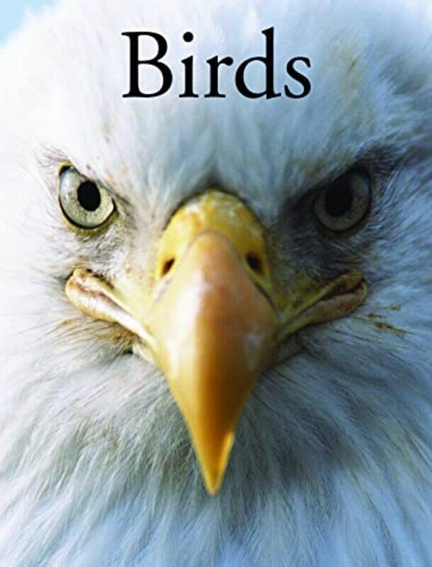 

Birds by Per ChristiansenPaula Hammond-Paperback