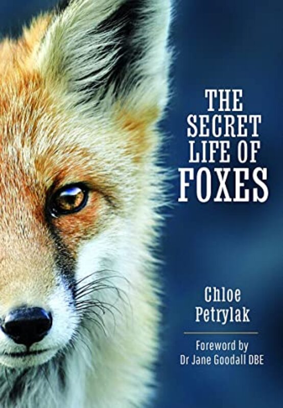 

The Secret Life of Foxes by Niki Segnit-Hardcover