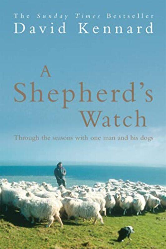 

A Shepherds Watch by Zhenzhen Jiangxi Normal University China MiaoChristian University of Southampton United Kingdom BokhoveDavid Swansea University U