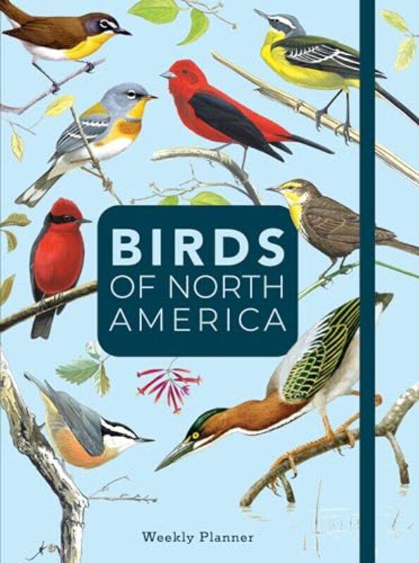 

Birds of North America by Stephanie Kaplan LewisAnnie Chandler WangWindsor Hanger Western-Hardcover
