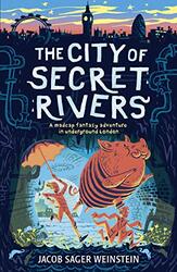 The City of Secret Rivers by Jacob Sager Weinstein-Paperback