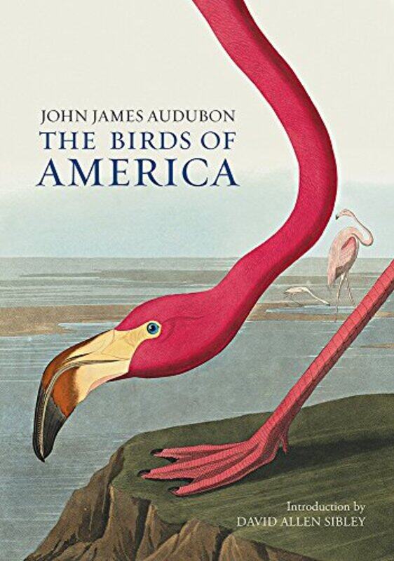 

The Birds of America by Huw Richards-Hardcover