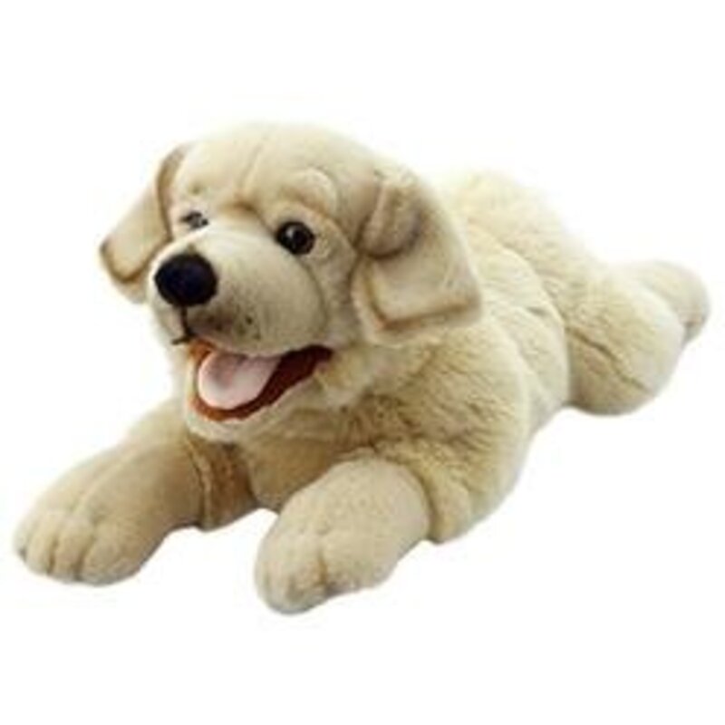 Playful Puppies Yellow Labrador By The Puppet Company Ltd -Paperback
