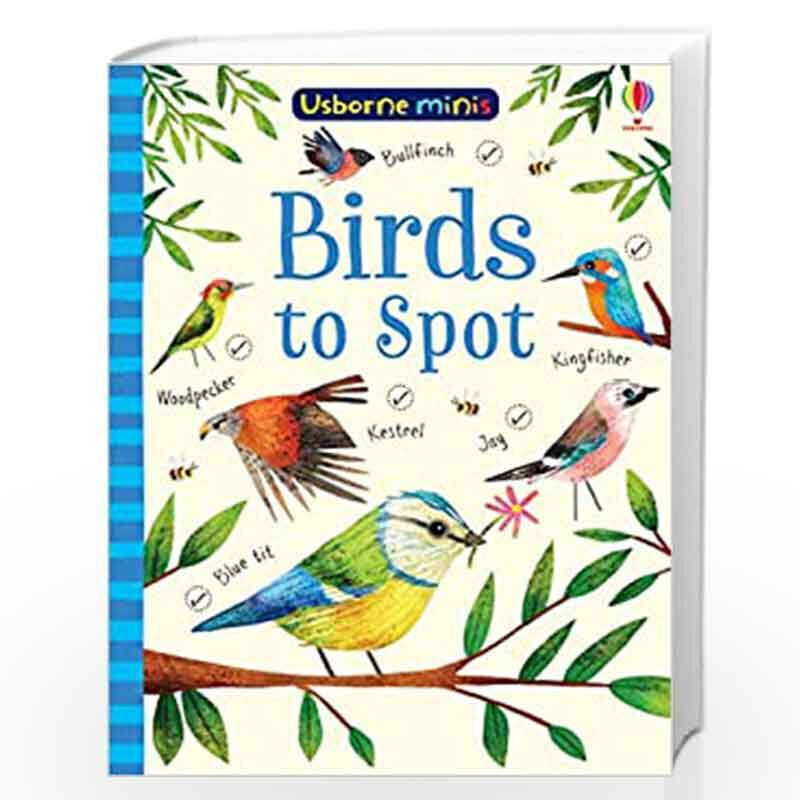 

Birds to Spot, Paperback Book, By: Kirsteen Robson