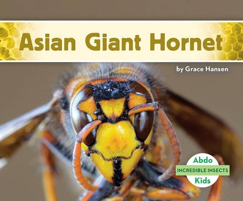 

Incredible Insects Asian Giant Hornet by Grace Hansen-Paperback