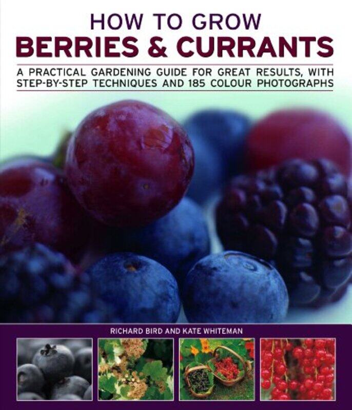 

How to Grow Berries and Currants by Cara JenkinsScott Barker-Paperback