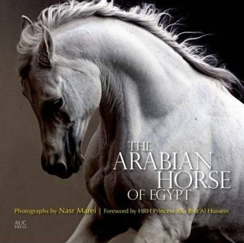 

The Arabian Horse of Egypt,Paperback,ByCulbertson, Cynthia - Marei, Nasr