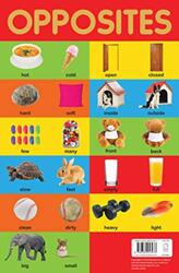 Opposites Chart - Early Learning Educational Chart For Kids: Perfect For Homeschooling, Kindergarten