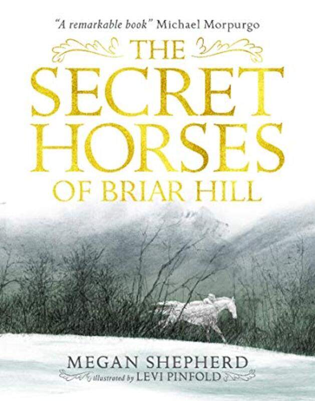 

The Secret Horses of Briar Hill by Megan ShepherdLevi Pinfold-Paperback