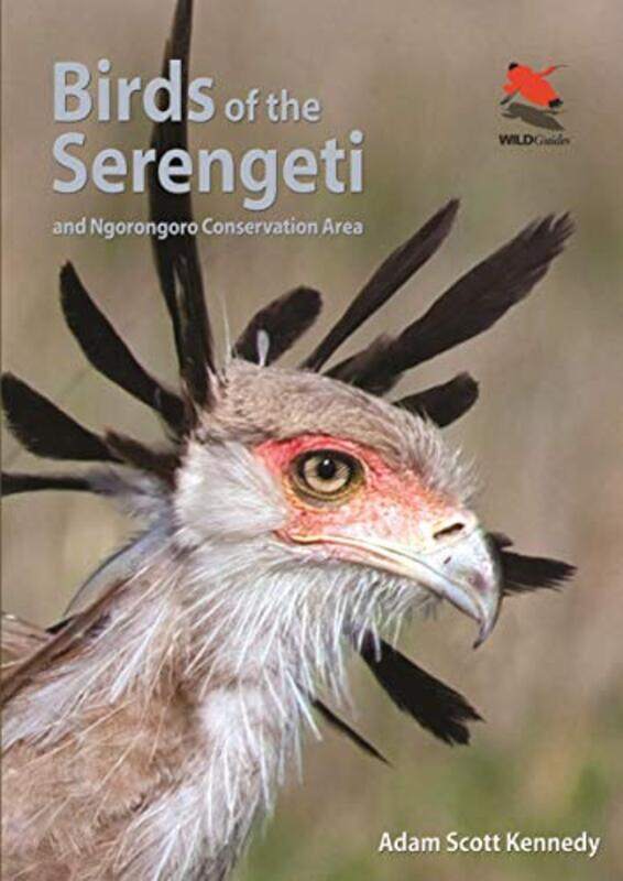 

Birds of the Serengeti by Joseph J ProvostKeri L ColabroyBrenda S KellyMark A Wallert-Paperback
