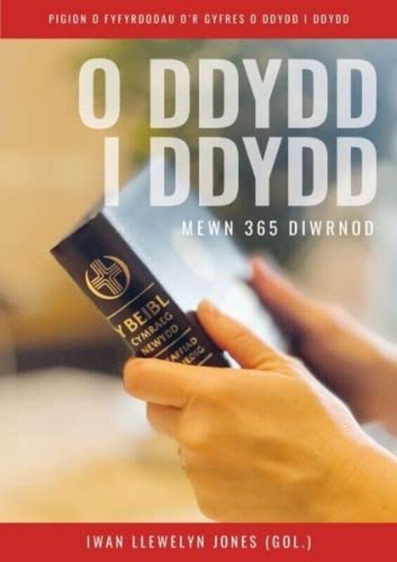 

O Ddydd i Ddydd Mewn 366 Diwrnod by Kaytie Holdstock-Paperback