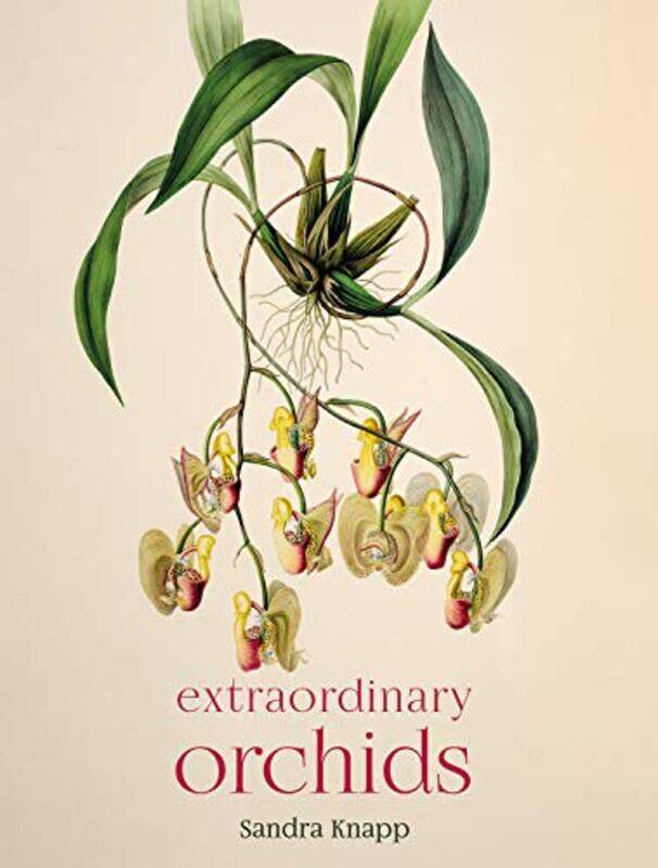 

Extraordinary Orchids by Jean DelumeauMatthew O'Connell-Hardcover