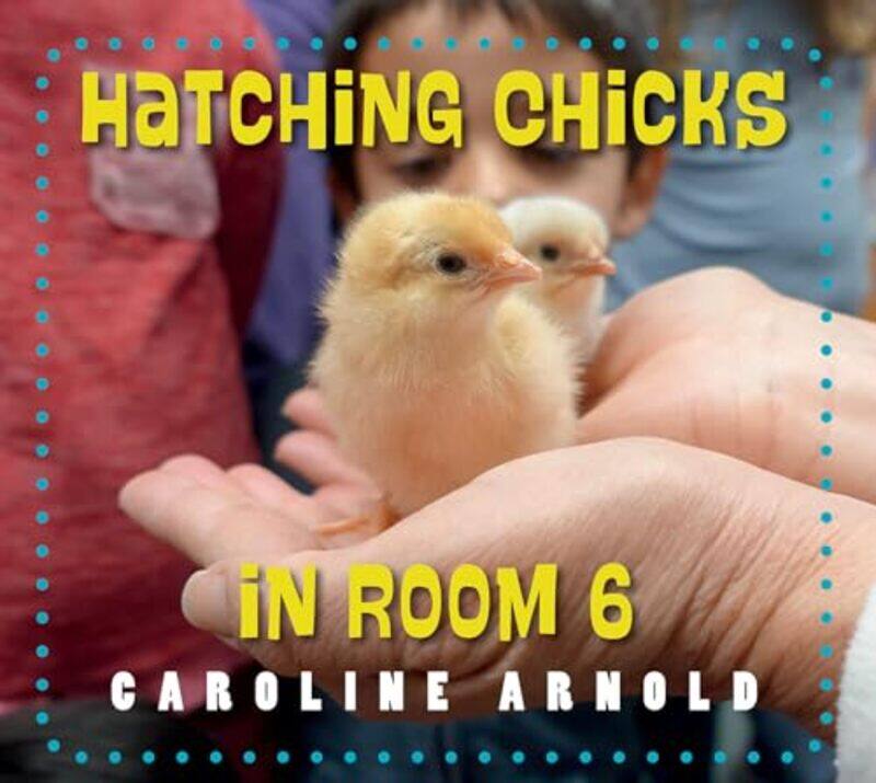 

Hatching Chicks in Room 6 by Caroline Arnold-Paperback