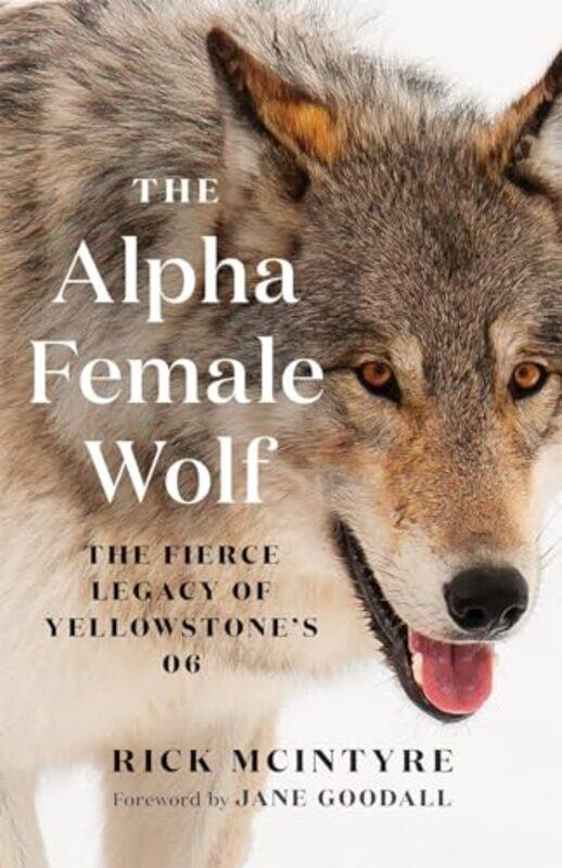 

The Alpha Female Wolf by Rick McIntyre-Paperback