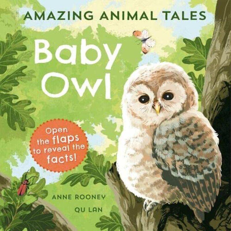 

Amazing Animal Tales Baby Owl by Anne RooneyQu Lan-Paperback