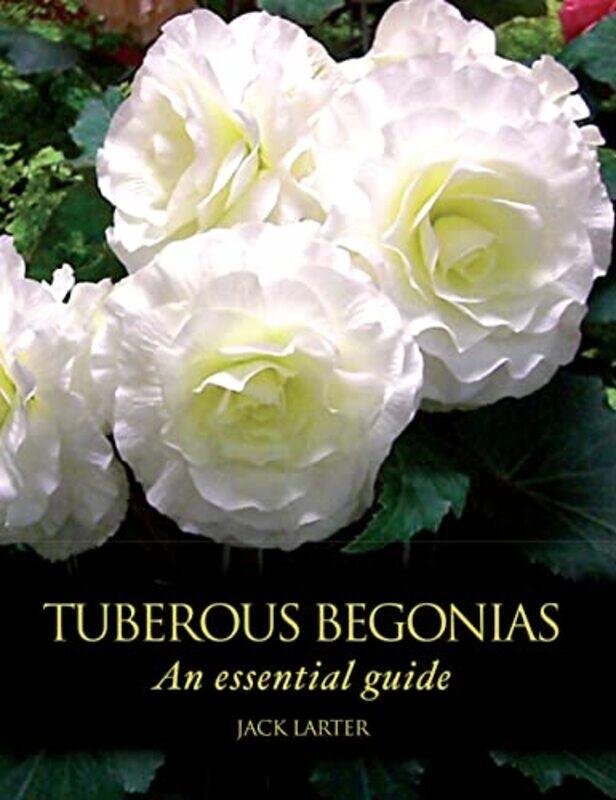 

Tuberous Begonias by Letts 11+-Hardcover