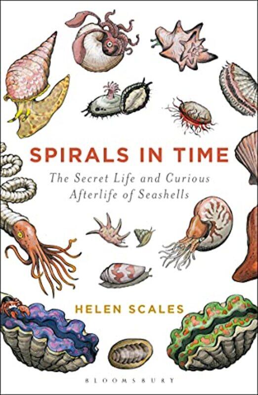 

Spirals In Time The Secret Life And Curious Afterlife Of Seashells By Scales, Helen Paperback