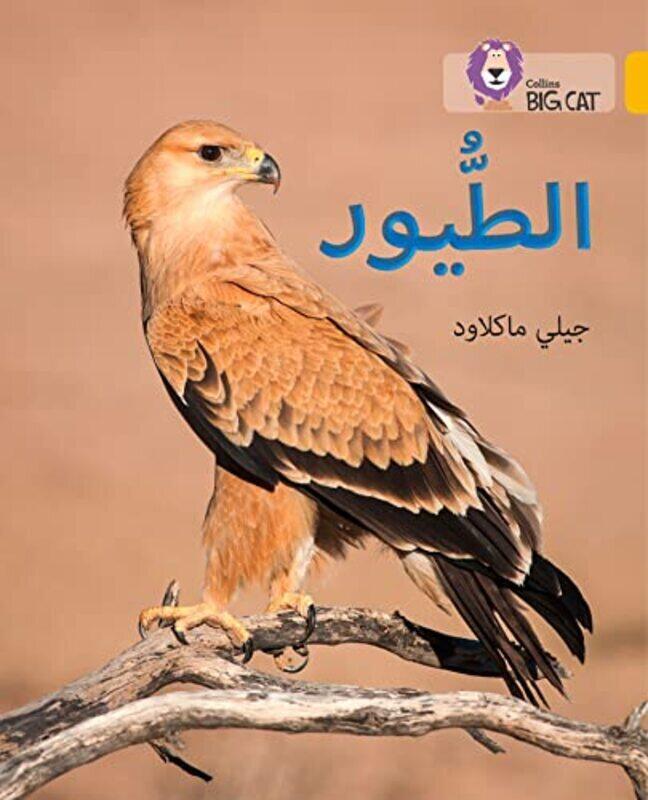 

Birds: Level 9 (Collins Big Cat Arabic Reading Programme) By Macleod Jilly Paperback