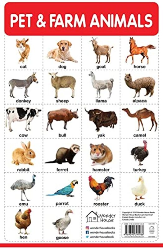 Pet And Farm Animals My First Early Learning Wall Chart: For Preschool, Kindergarten, Nursery And Paperback by Wonder House Books