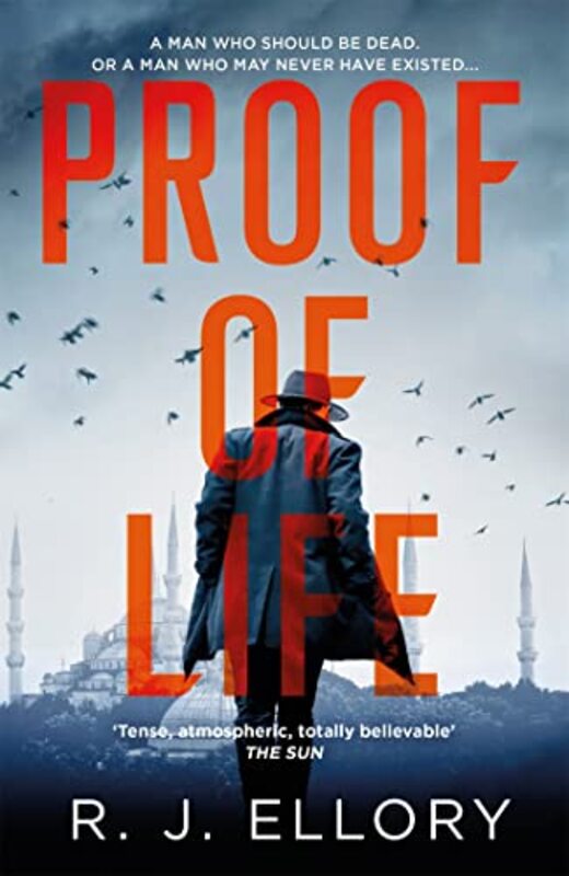 Proof of Life by RJ Ellory-Paperback