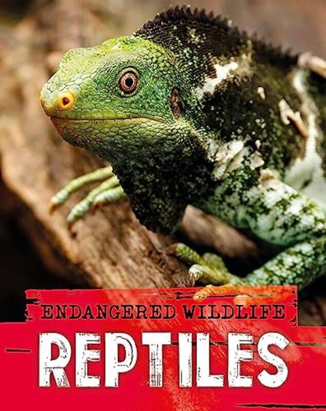

Endangered Wildlife Rescuing Reptiles by Johanne HildebrandtTara F Chace-Hardcover