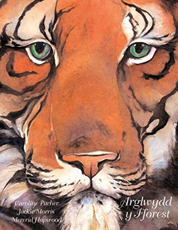 

Arglwydd y Fforest by Caroline PitcherJackie MorrisMererid Hopwood-Hardcover