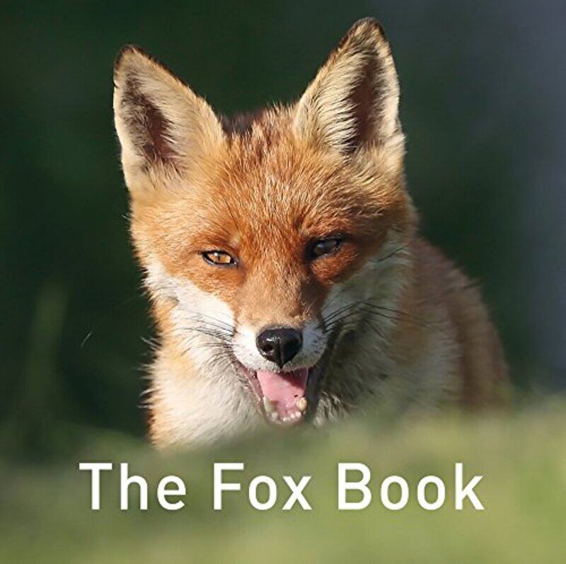 

Nature Book Series The The Fox Book by RIC Publications-Hardcover