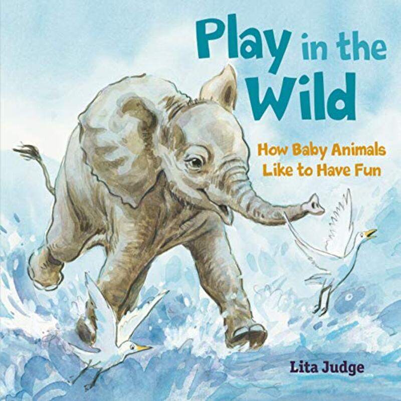 

Play In The Wild by Lita Judge-Hardcover