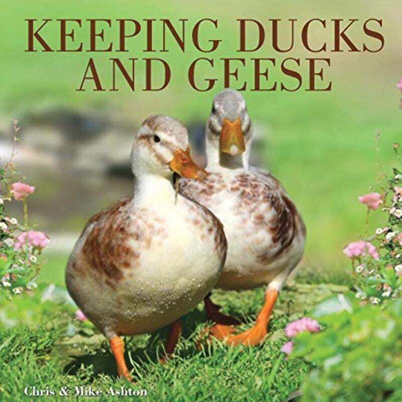 

Keeping Ducks and Geese by Joanna van der Hoeven-Paperback