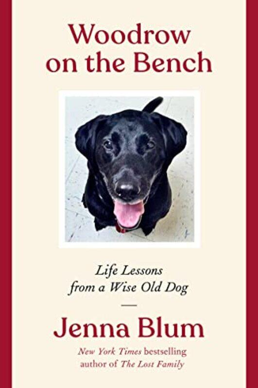 

Woodrow On The Bench by Jenna Blum-Paperback